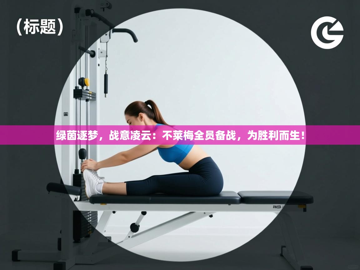 绿茵逐梦，战意凌云：不莱梅全员备战，为胜利而生！  第2张